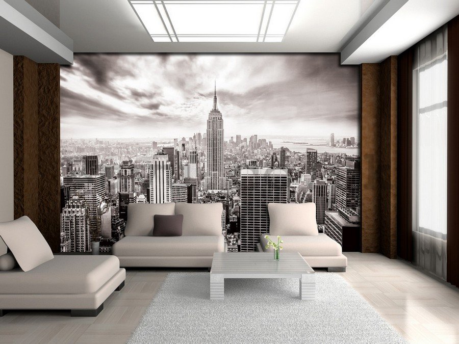 Wall mural vlies: View on New York (black and white) - 254x368 cm