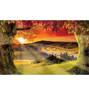 Wall mural vlies: Tuscany (Sunset) - 254x368 cm