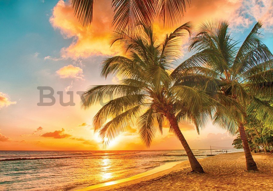 Wall mural vlies: Sunset in paradise - 184x254 cm