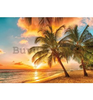Wall mural vlies: Sunset in paradise - 184x254 cm