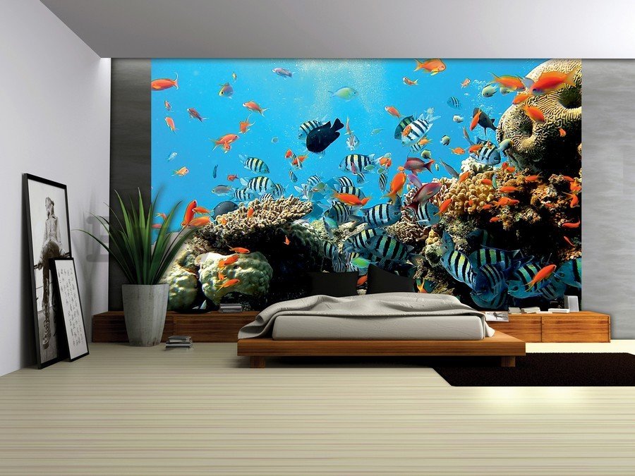 Wall mural vlies: Coral reef - 184x254 cm