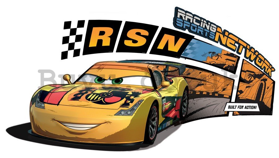 Sticker - Cars (Racing Sports Network)