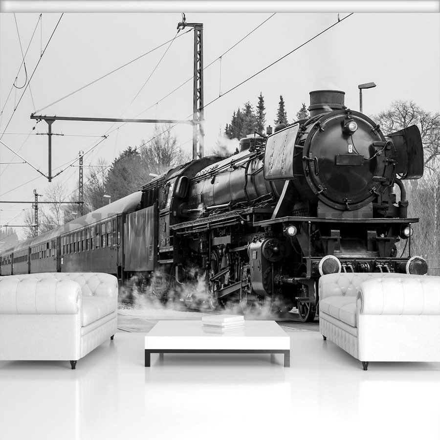 Wall mural vlies: Steam locomotive (black and white) - 184x254 cm