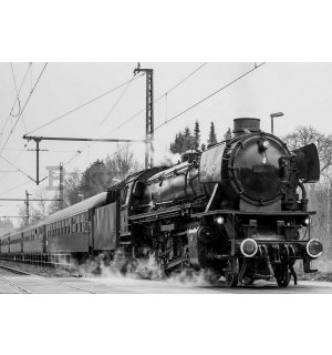 Wall mural vlies: Steam locomotive (black and white) - 184x254 cm