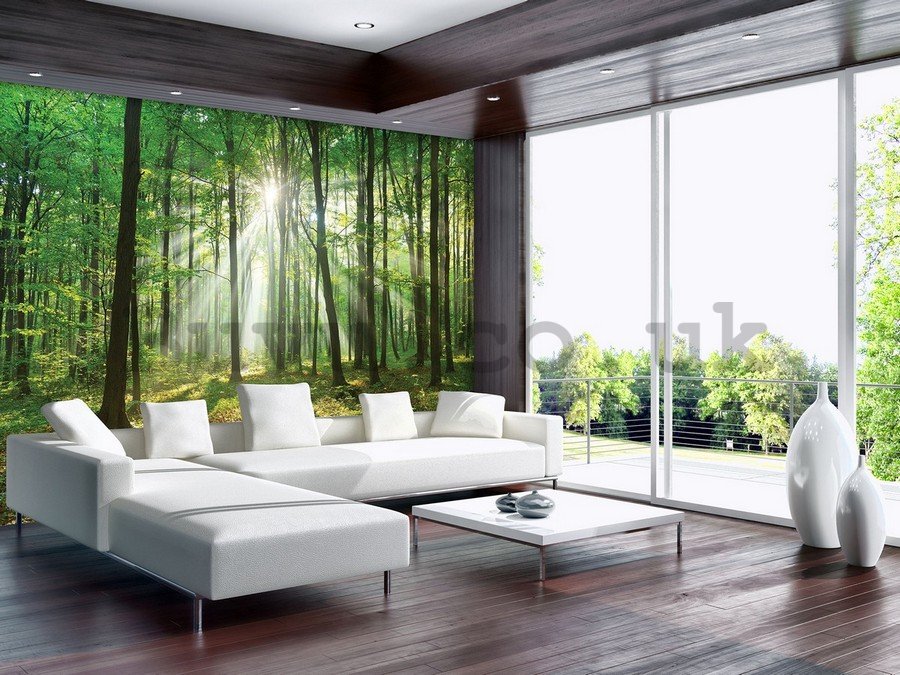 Wall mural vlies: Sun in the Forest (3) - 254x368 cm