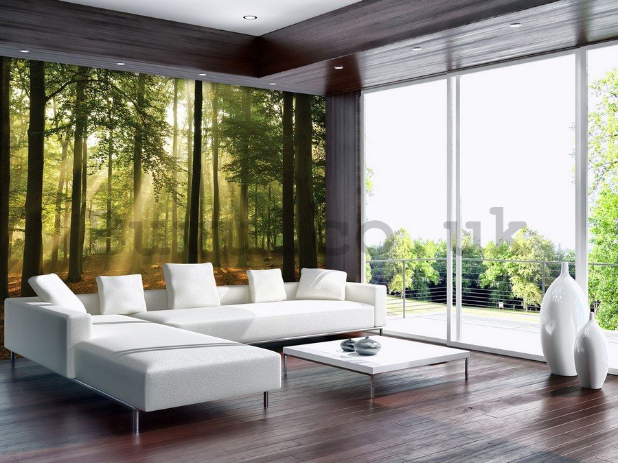 Wall mural vlies: Sun in the Forest (4) - 184x254 cm