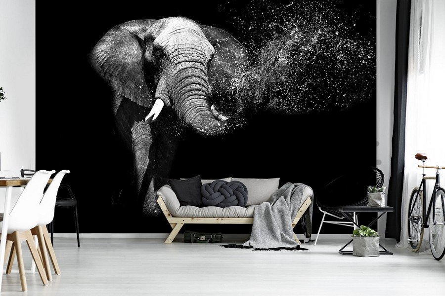 Wall mural vlies: Black and white elephant - 184x254 cm