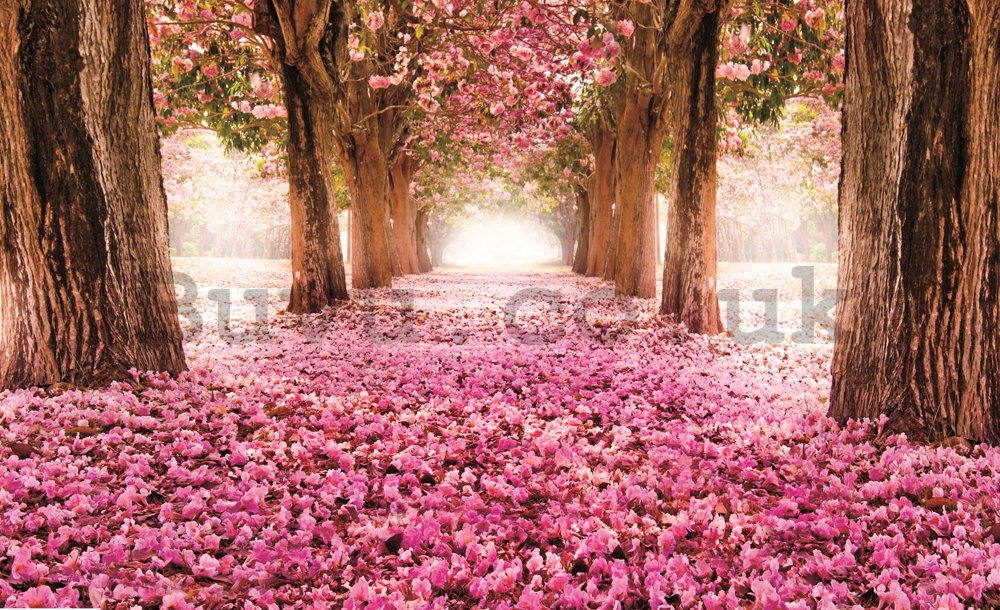 Wall Mural: Blossom alley (1) - 184x254 cm