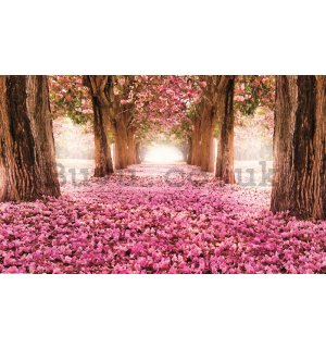 Wall Mural: Blossom alley (1) - 254x368 cm