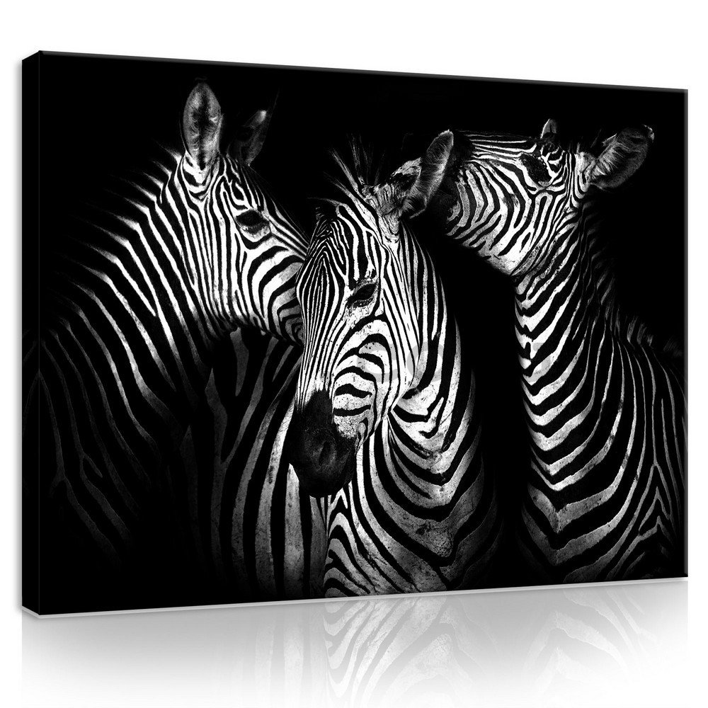 Painting on canvas: Zebra (4) - 75x100 cm
