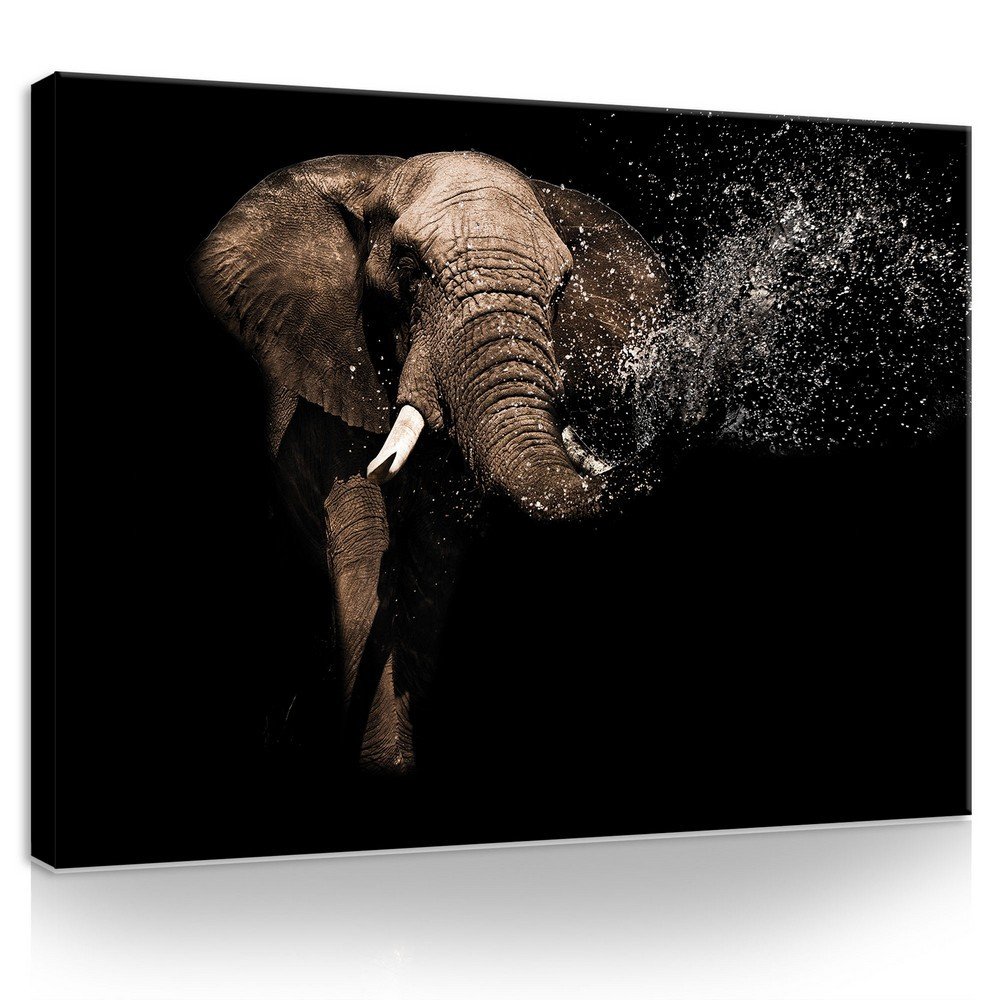 Painting on canvas: Elephant (3) - 75x100 cm