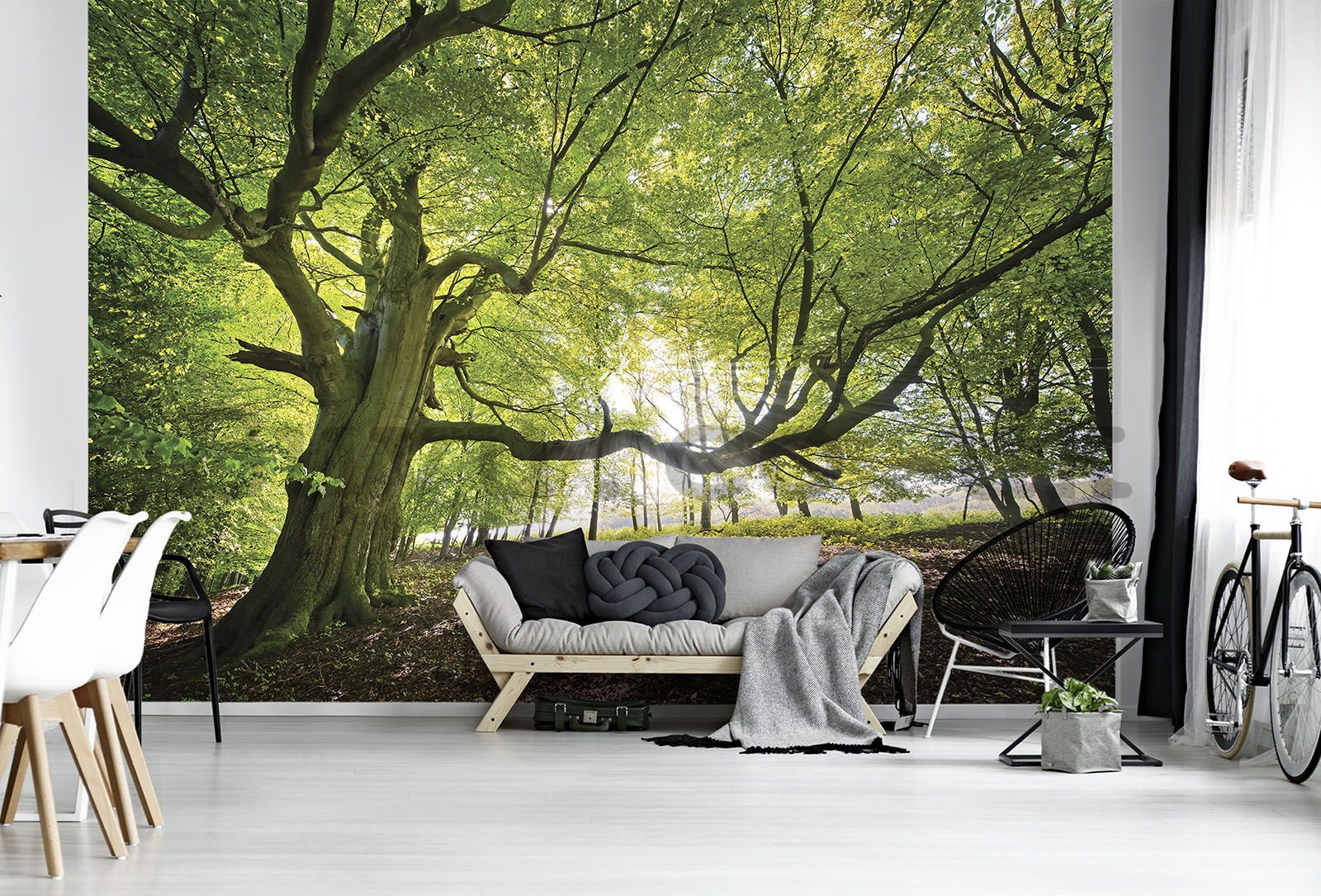Wall mural vlies: Sun in the Forest (5) - 184x254 cm