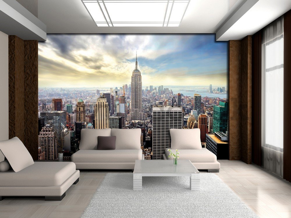 Wall mural: View on New York - 104x152,5 cm