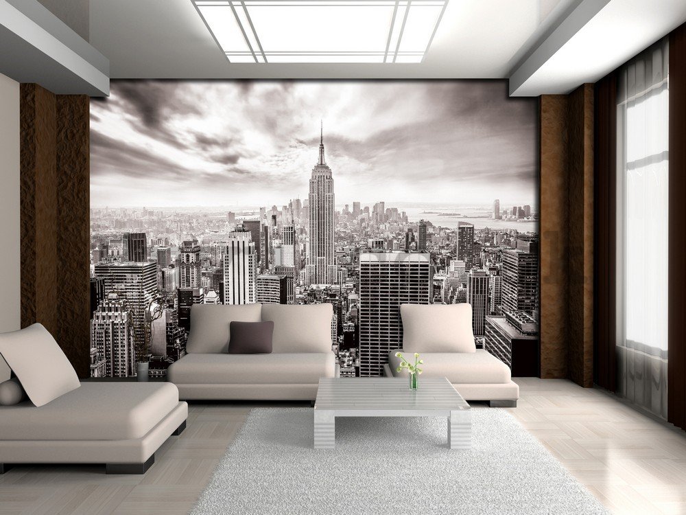 Wall mural: View on New York (black and white) - 104x152,5 cm