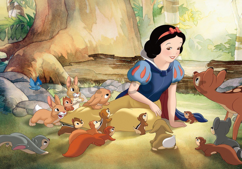 Wall mural: The Snow white and seven dwarfs (Snow White) - 104x152,5 cm