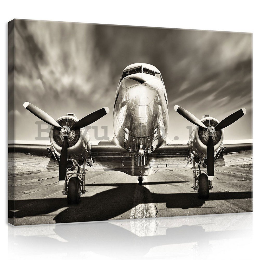Painting on canvas: Aircraft (black and white) - 75x100 cm