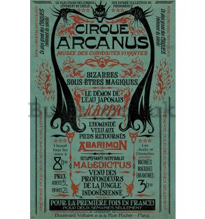 Poster - Fantastic Beasts The Crimes of Grindelwald (Le Cirque Arcanus)