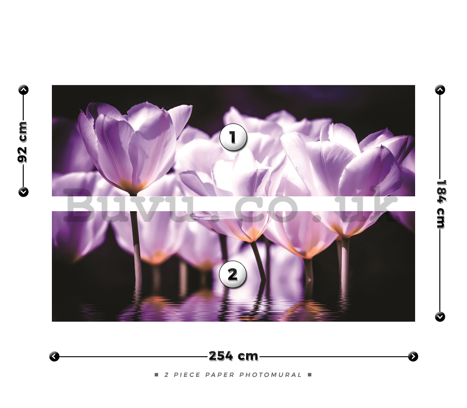 Wall Mural: Violet tulips (2) - 184x254 cm