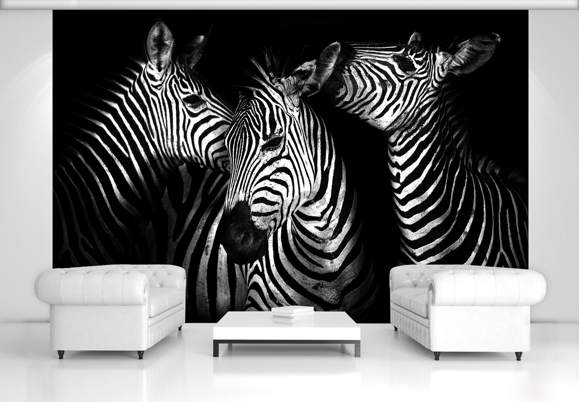 Wall mural vlies: Zebra (4) - 184x254 cm