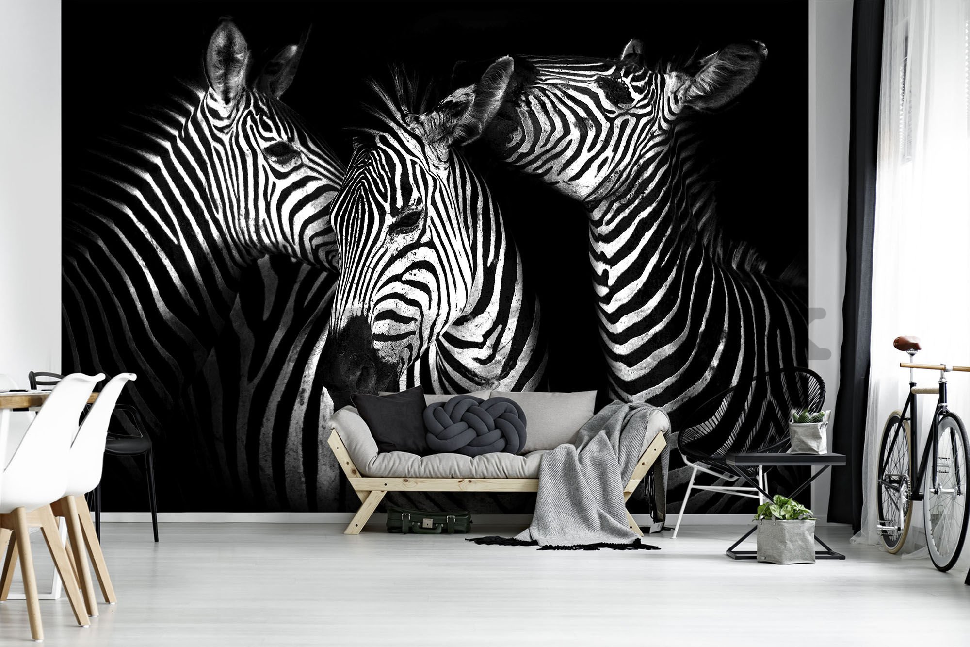 Wall mural vlies: Zebra (4) - 254x368 cm