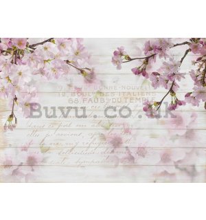 Wall mural vlies: Cherry blossoms (1) - 184x254 cm