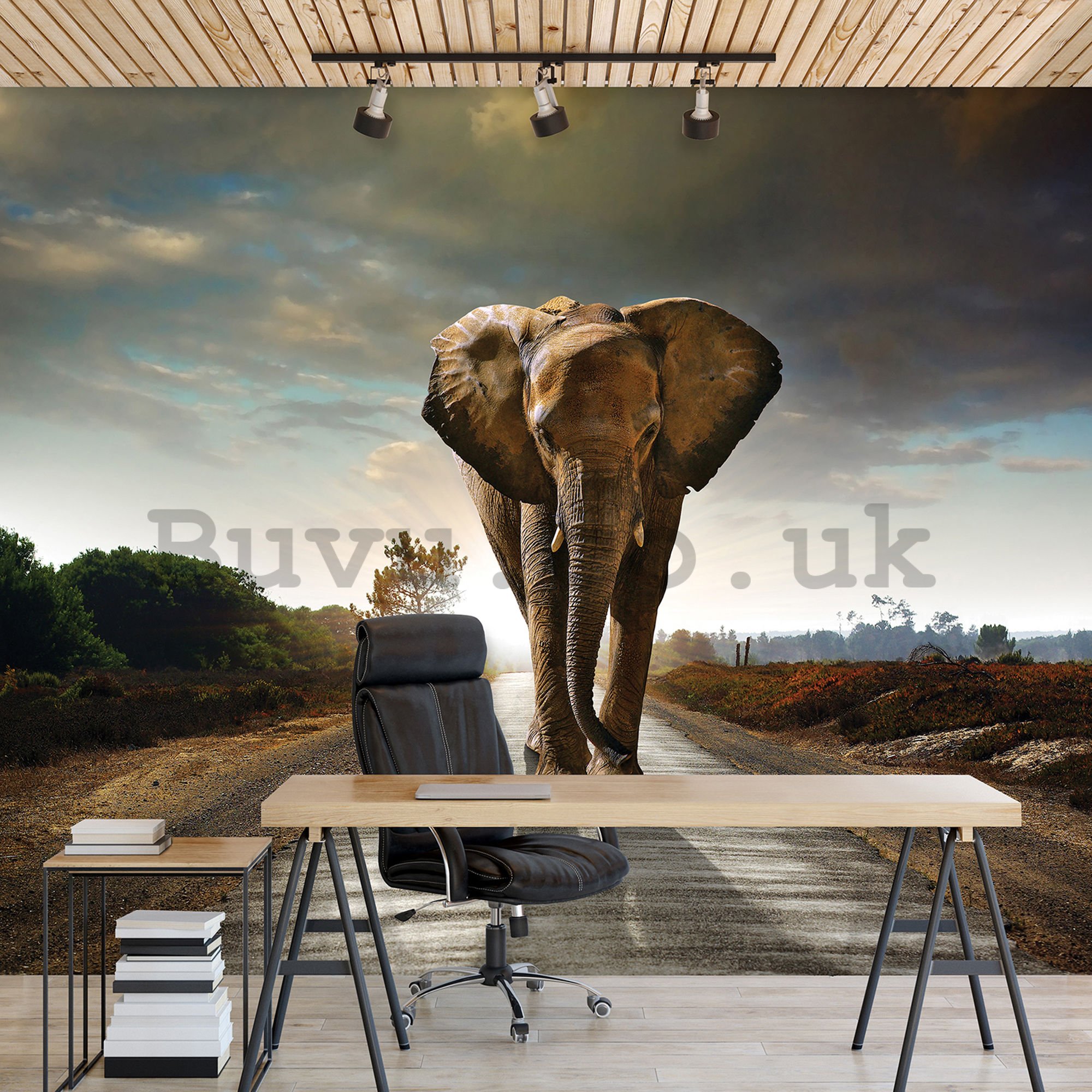 Wall mural: Elephant (4) - 184x254 cm