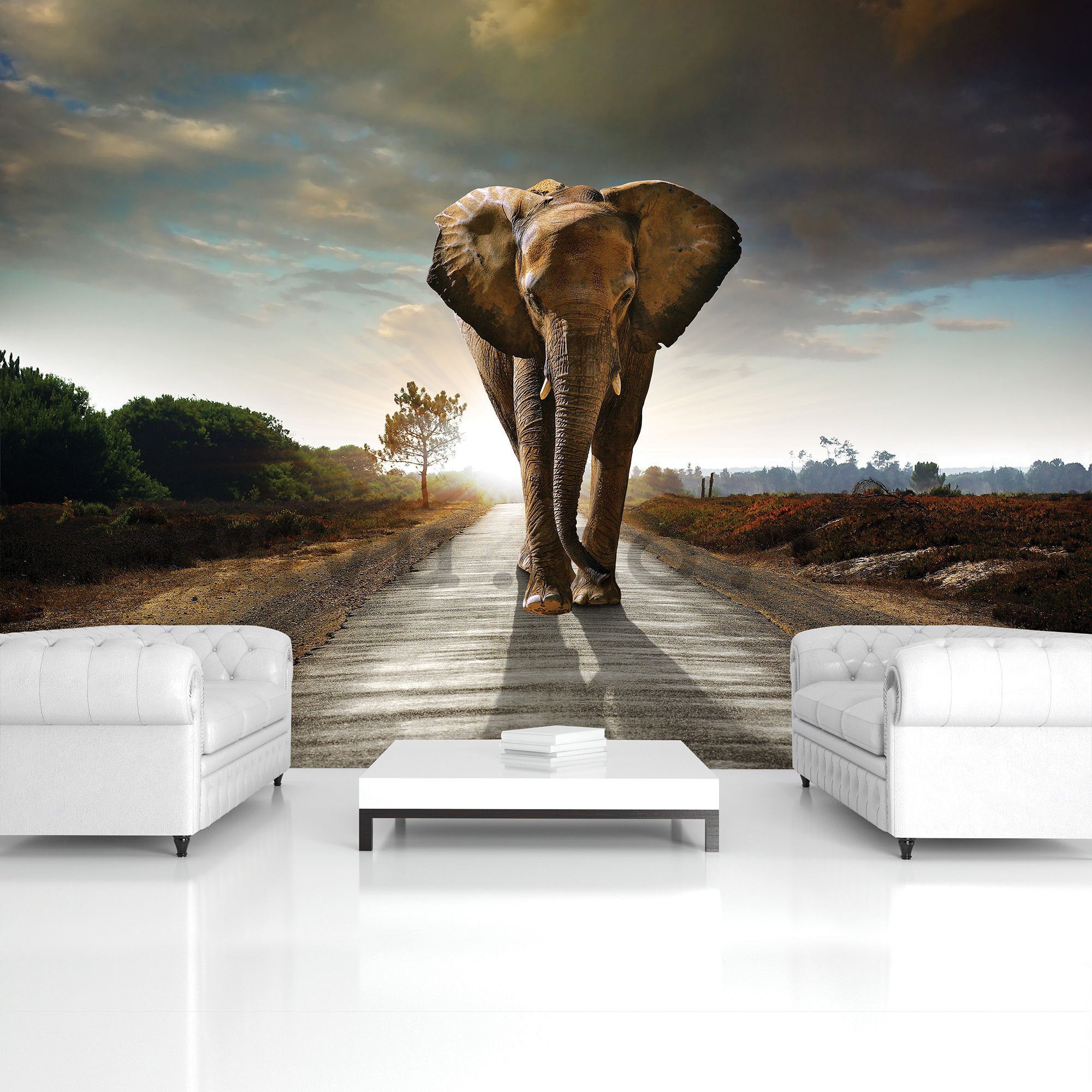Wall mural: Elephant (4) - 254x368 cm