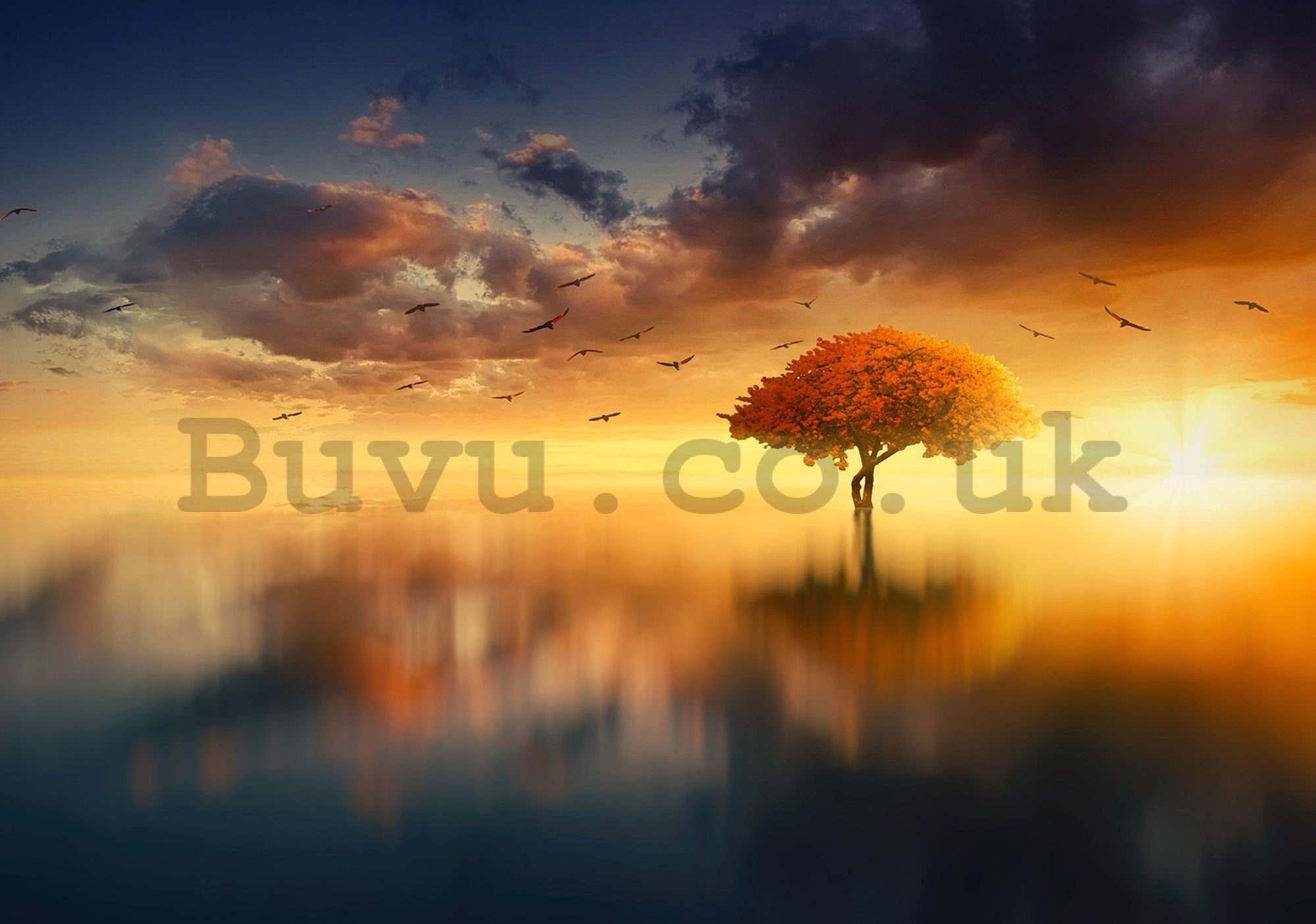 Wall mural: Tree by the lake (2) - 254x368 cm