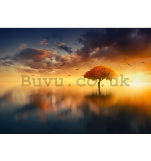 Wall mural: Tree by the lake (2) - 254x368 cm