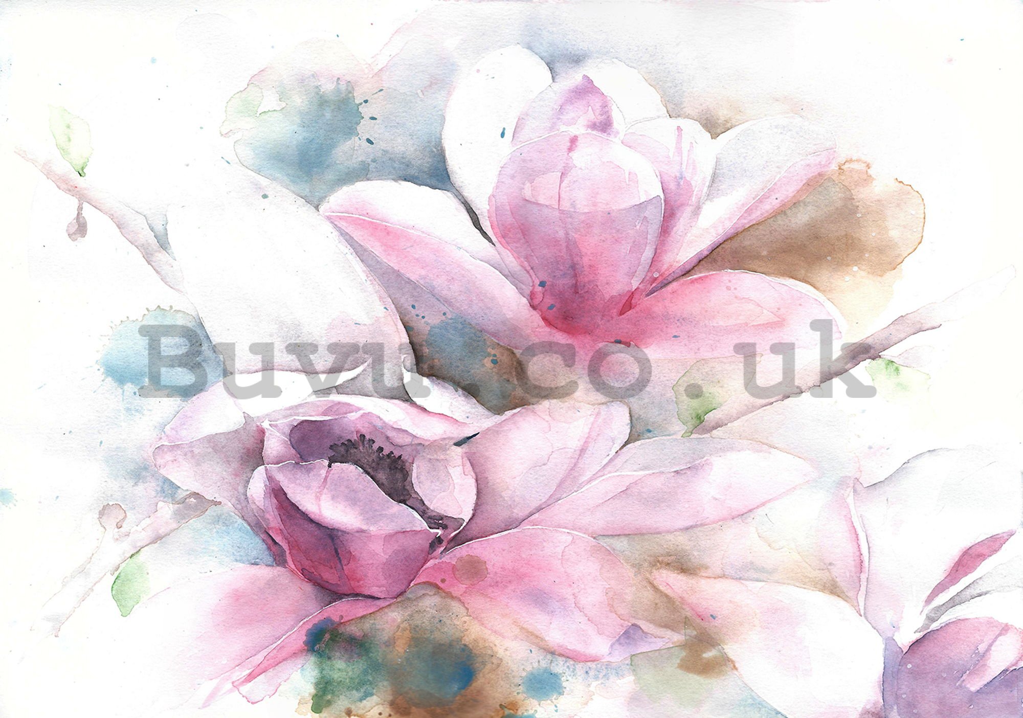 Wall mural: Magnolia (painted) - 184x254 cm
