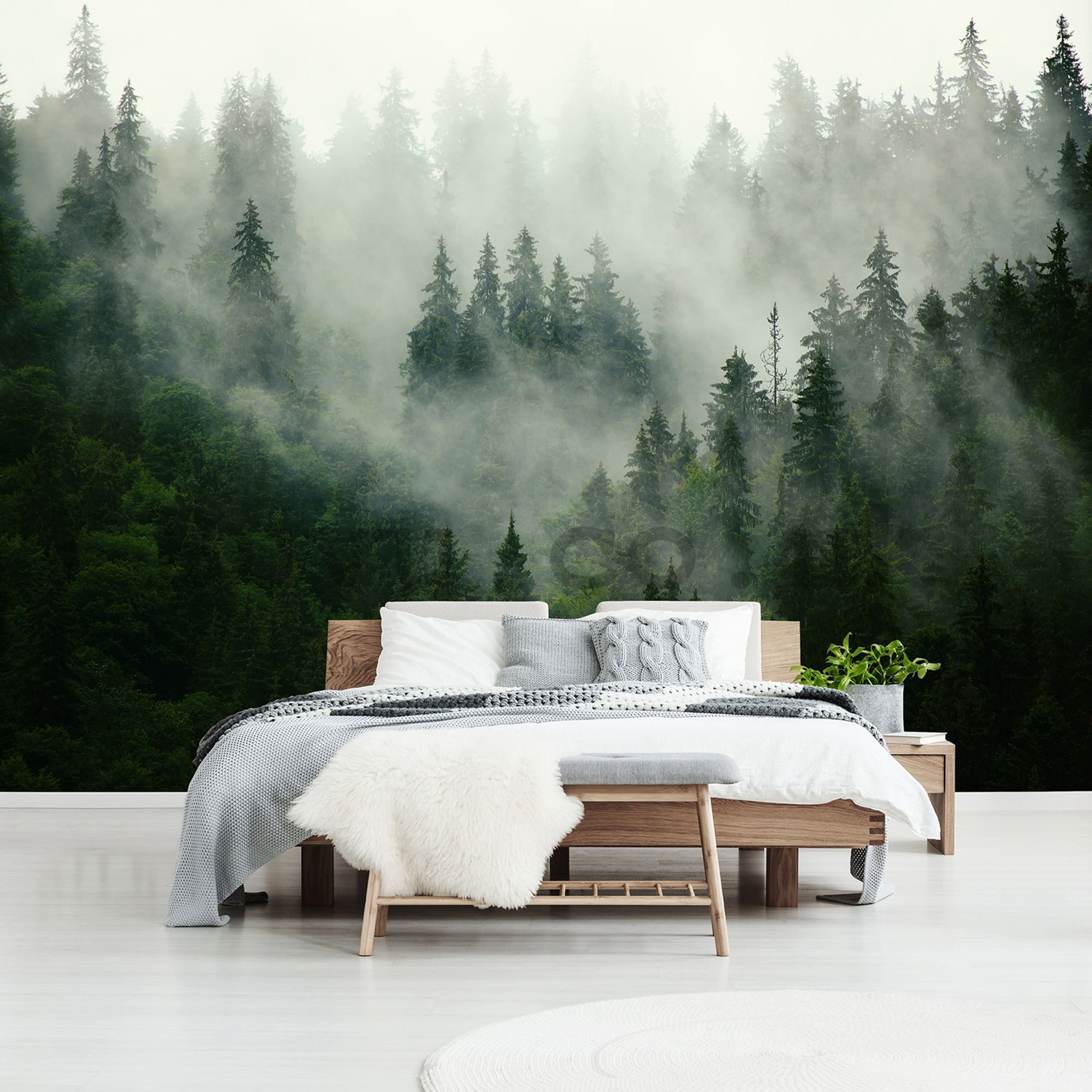 Wall mural vlies: Fog over the forest (1) - 104x152,5 cm