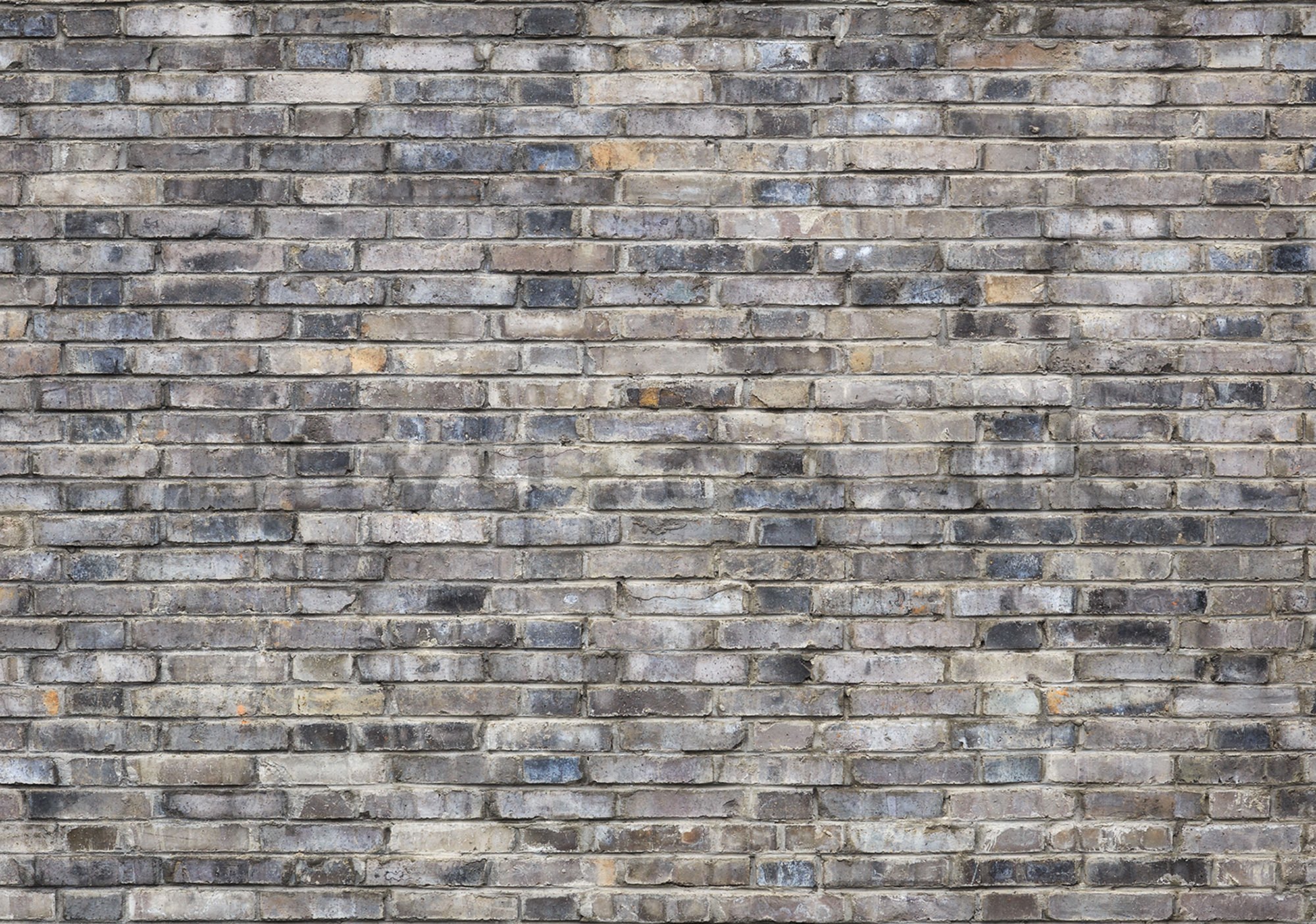 Wall mural: Brick wall (5) - 254x368 cm