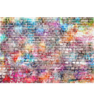 Wall mural: Colourful wall (2) - 254x368 cm