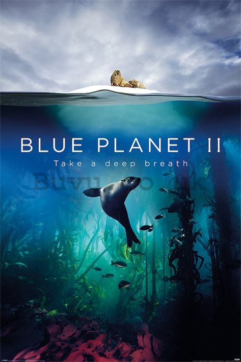 Poster - Blue Planet 2 (Take A Deep Breath)