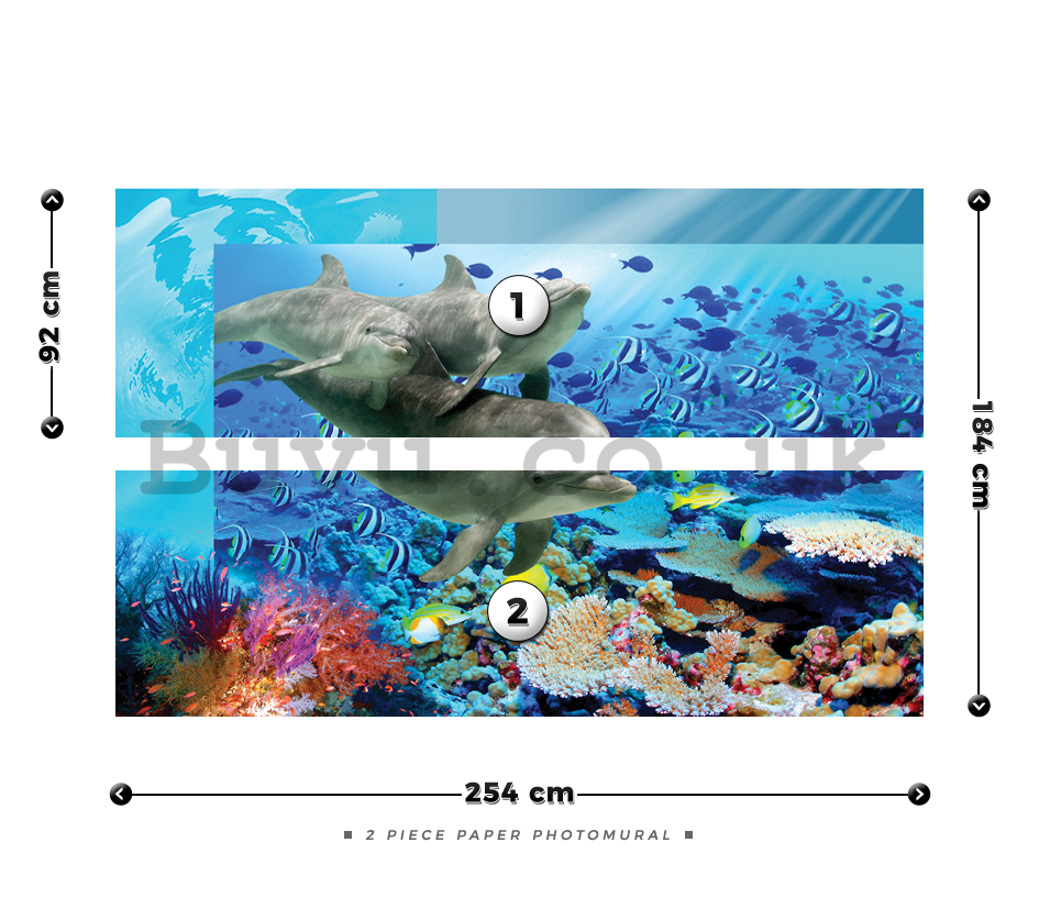 Wall Mural: Undersea world - 184x254 cm