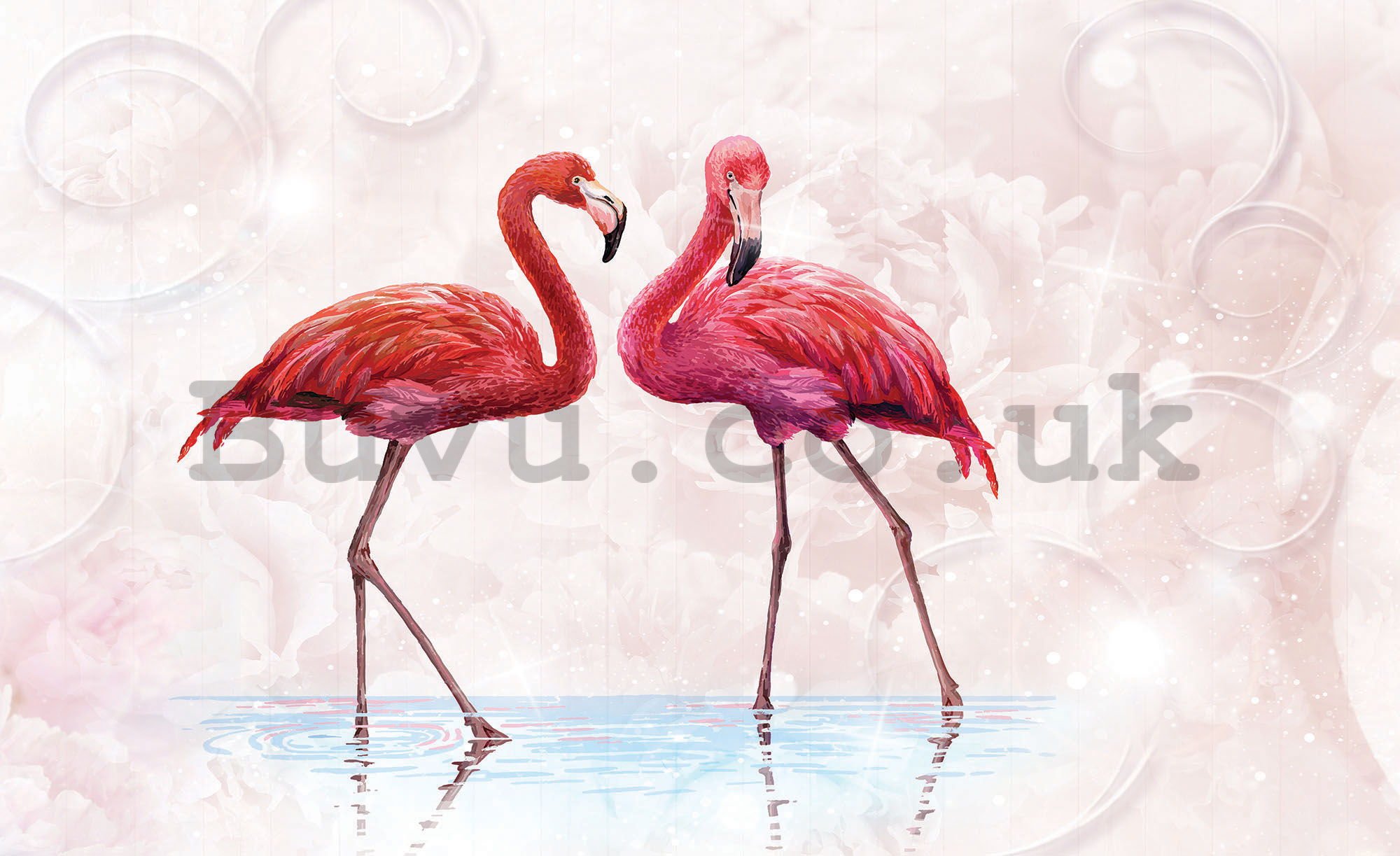 Wall Mural: Flamingos - 254x368 cm
