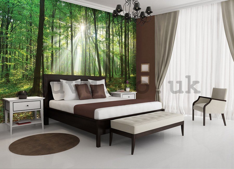 Vlies wall mural : Sun in the Forest (3) - 184x254 cm