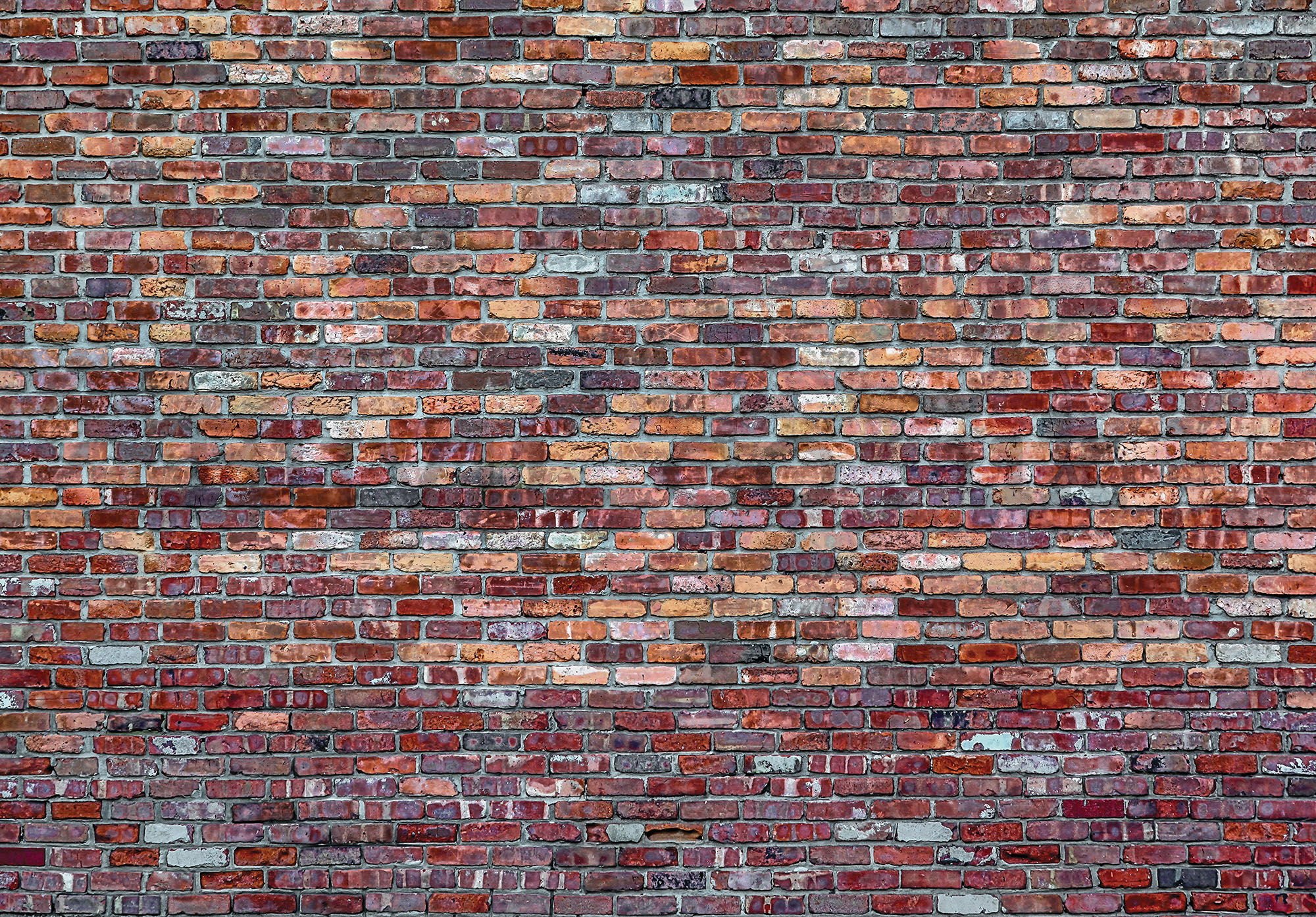Wall mural vlies: Brick wall (4) - 184x254 cm