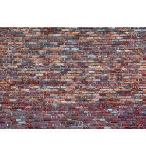 Wall mural vlies: Brick wall (4) - 254x368 cm