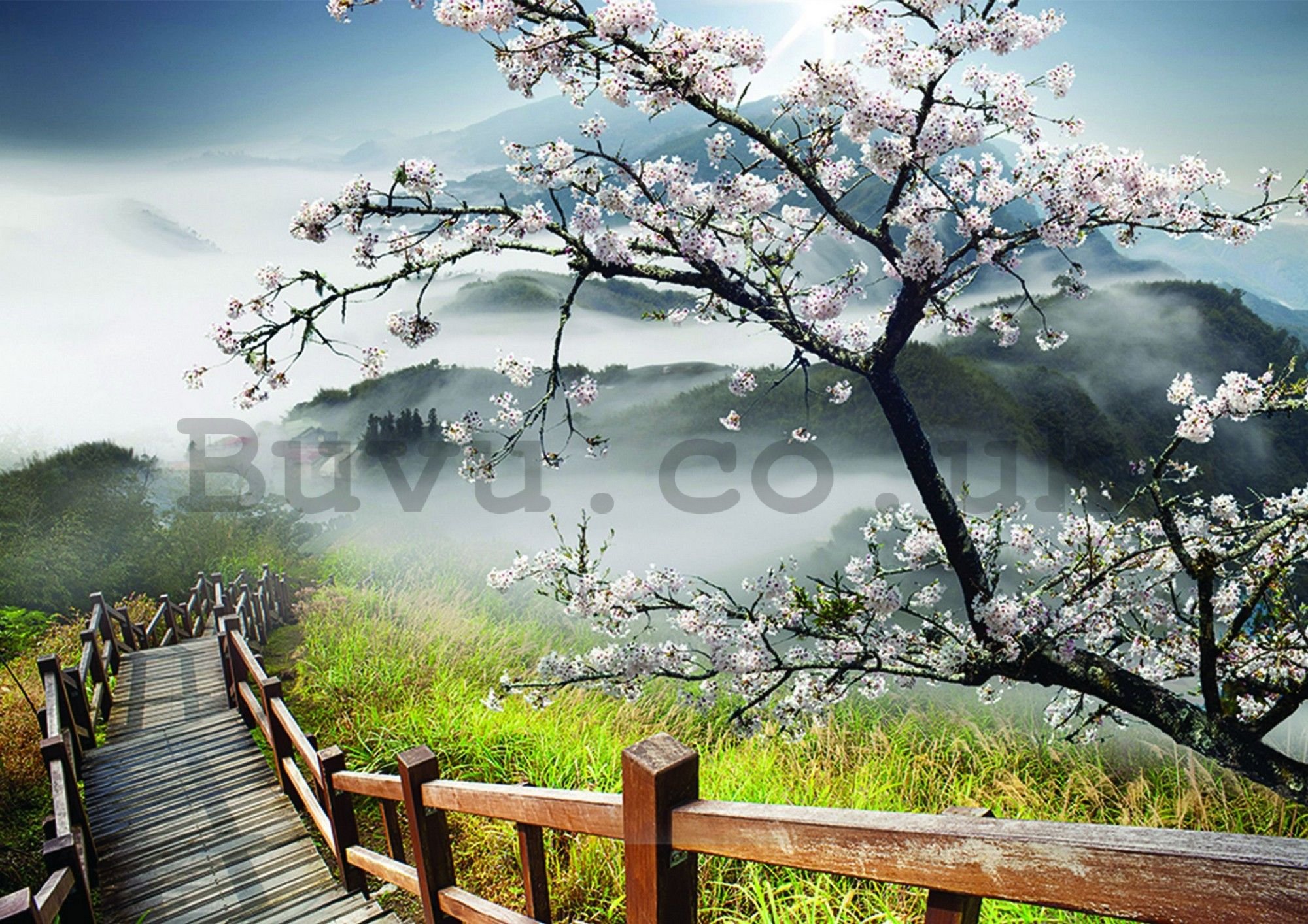 Wall mural vlies: Cherry tree above the stairs - 184x254 cm