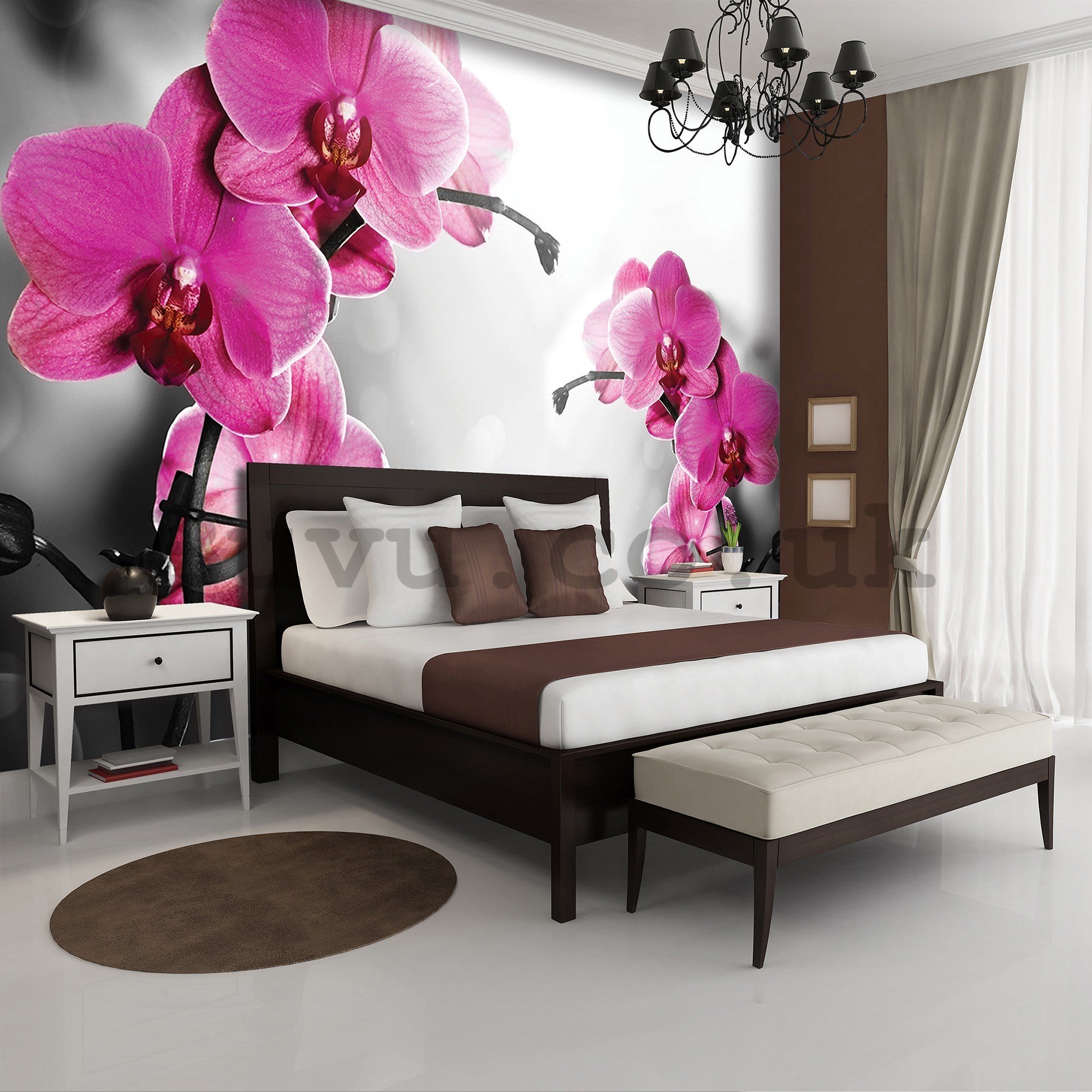 Wall mural vlies: Orchid on grey background - 416x254 cm