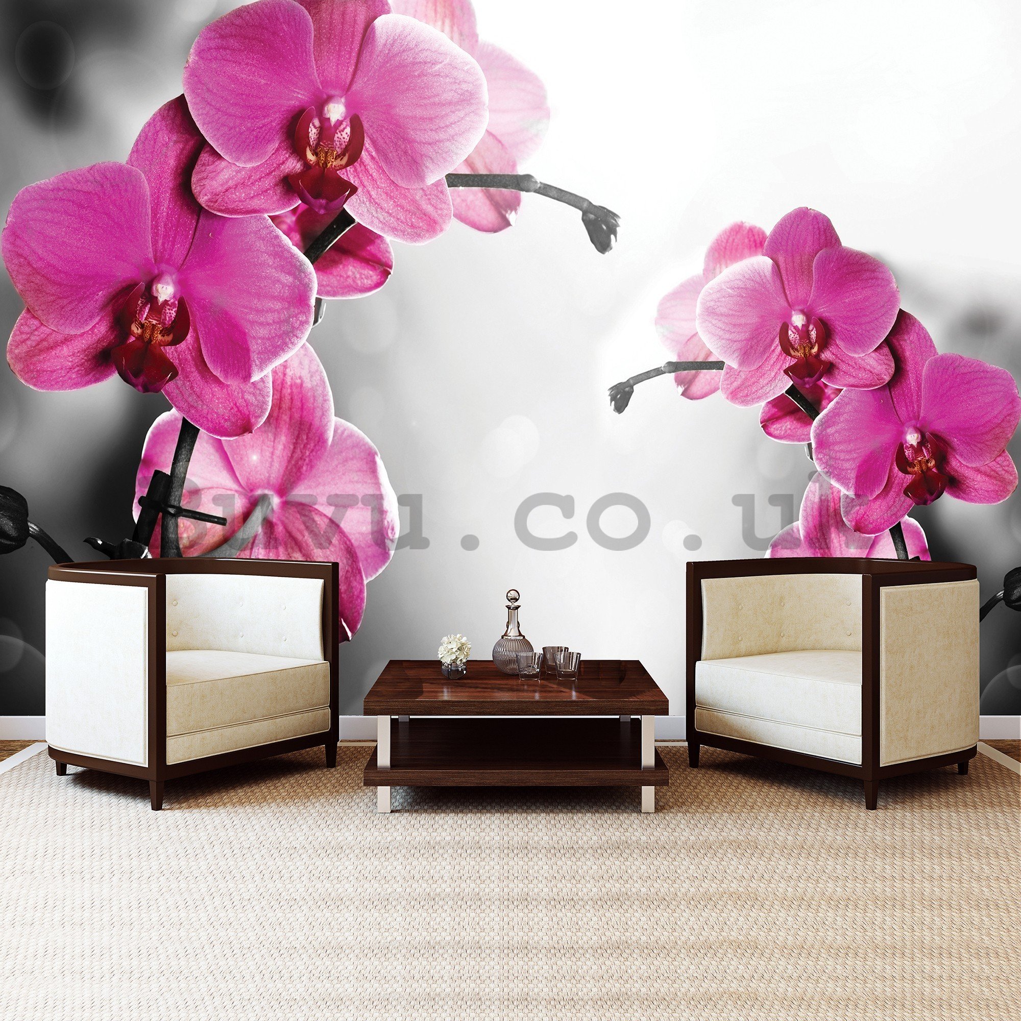 Wall mural vlies: Orchid on grey background - 416x254 cm