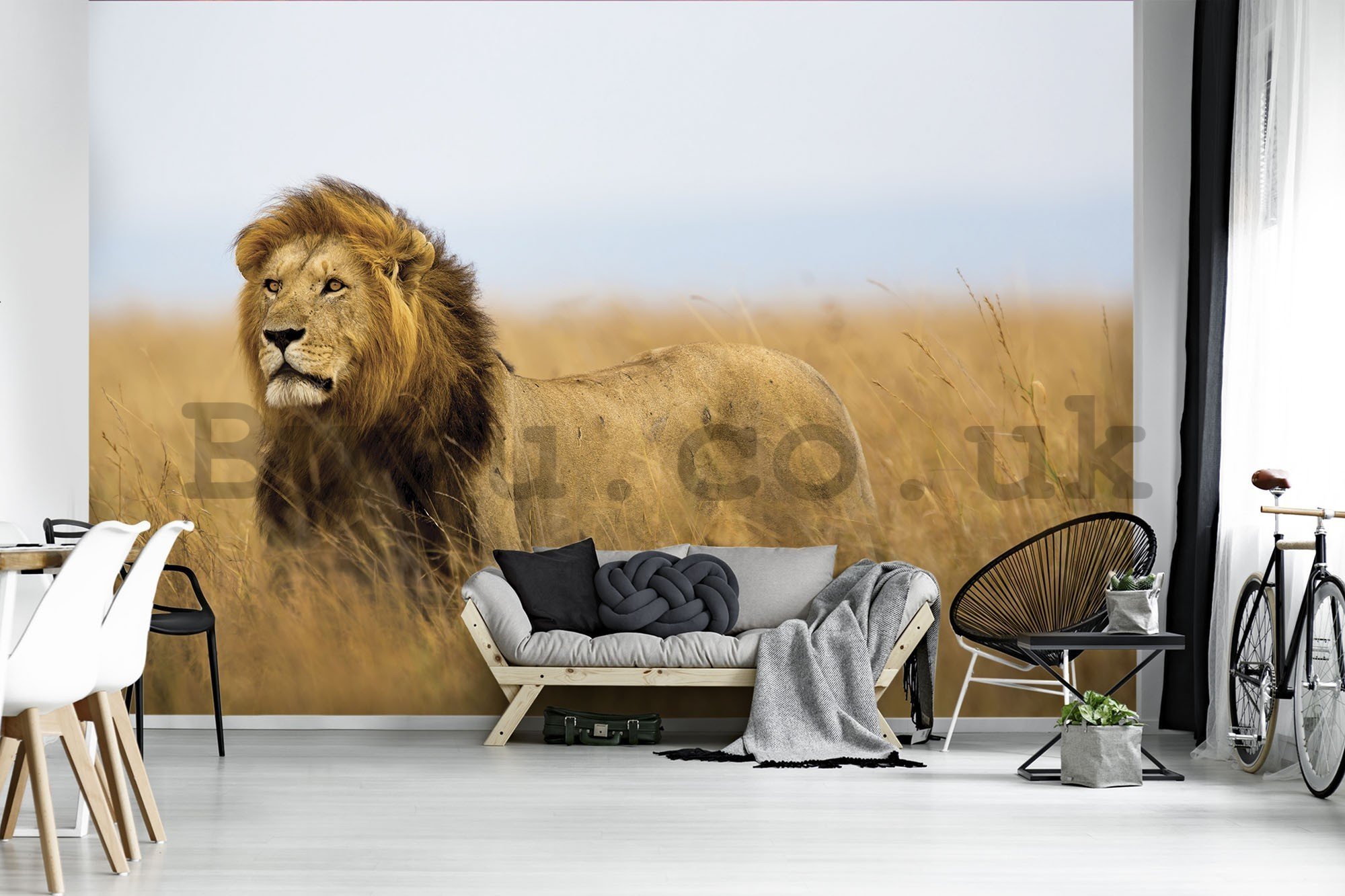 Wall mural vlies: The Lion (4) - 416x254 cm