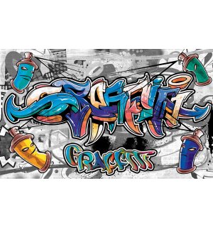 Wall mural vlies: Graffiti (9) - 416x254 cm
