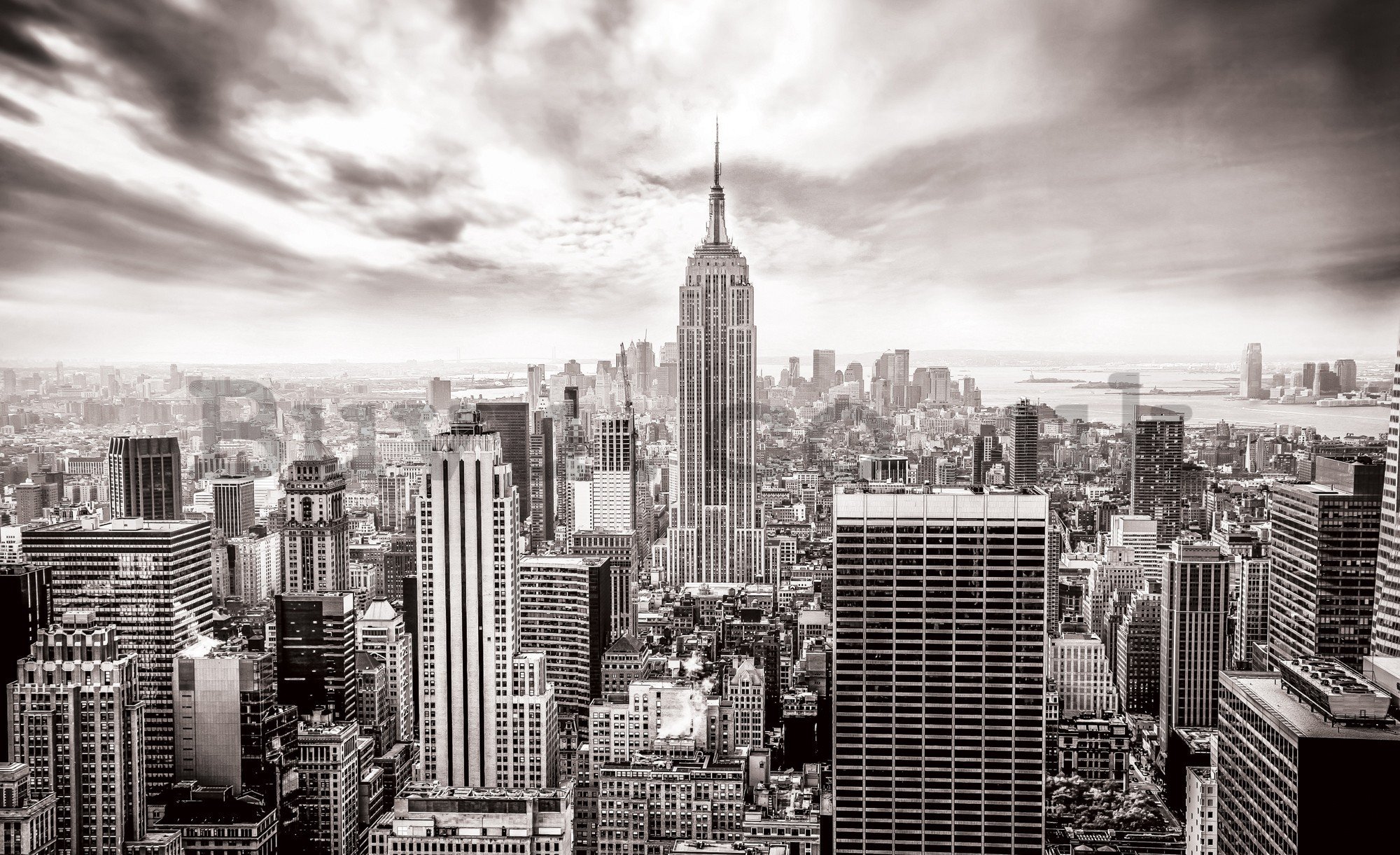 Wall mural vlies: View on New York (black and white) - 416x254 cm