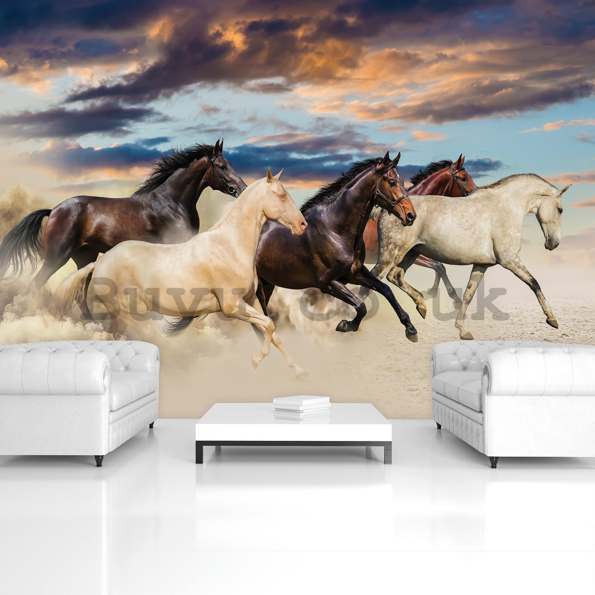 Wall mural vlies: Horses (2) - 416x254 cm