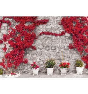 Wall mural vlies: Red floral wall - 416x254 cm