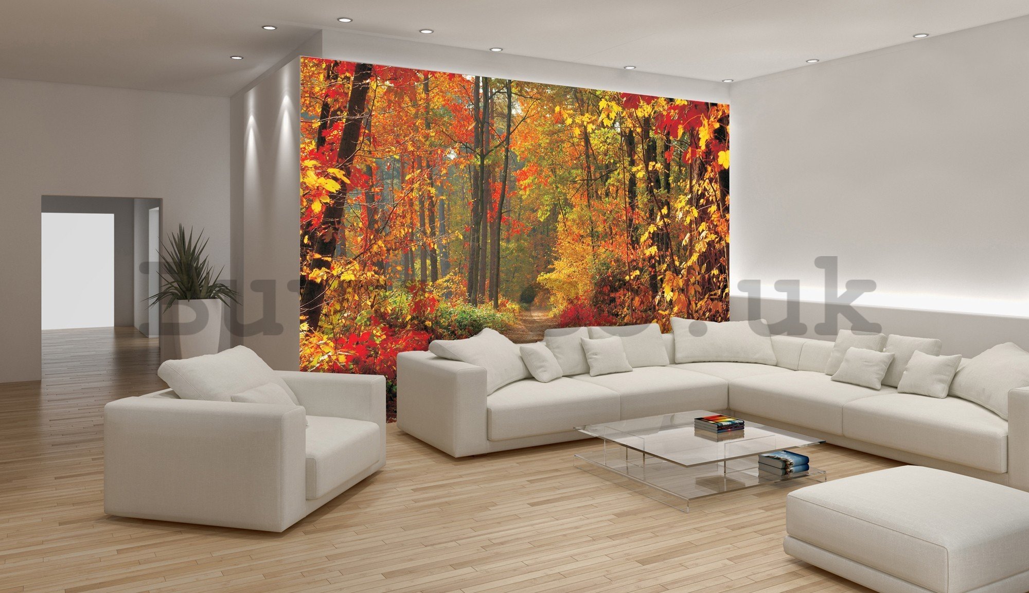 Wall mural vlies: Autumn Forest - 416x254 cm