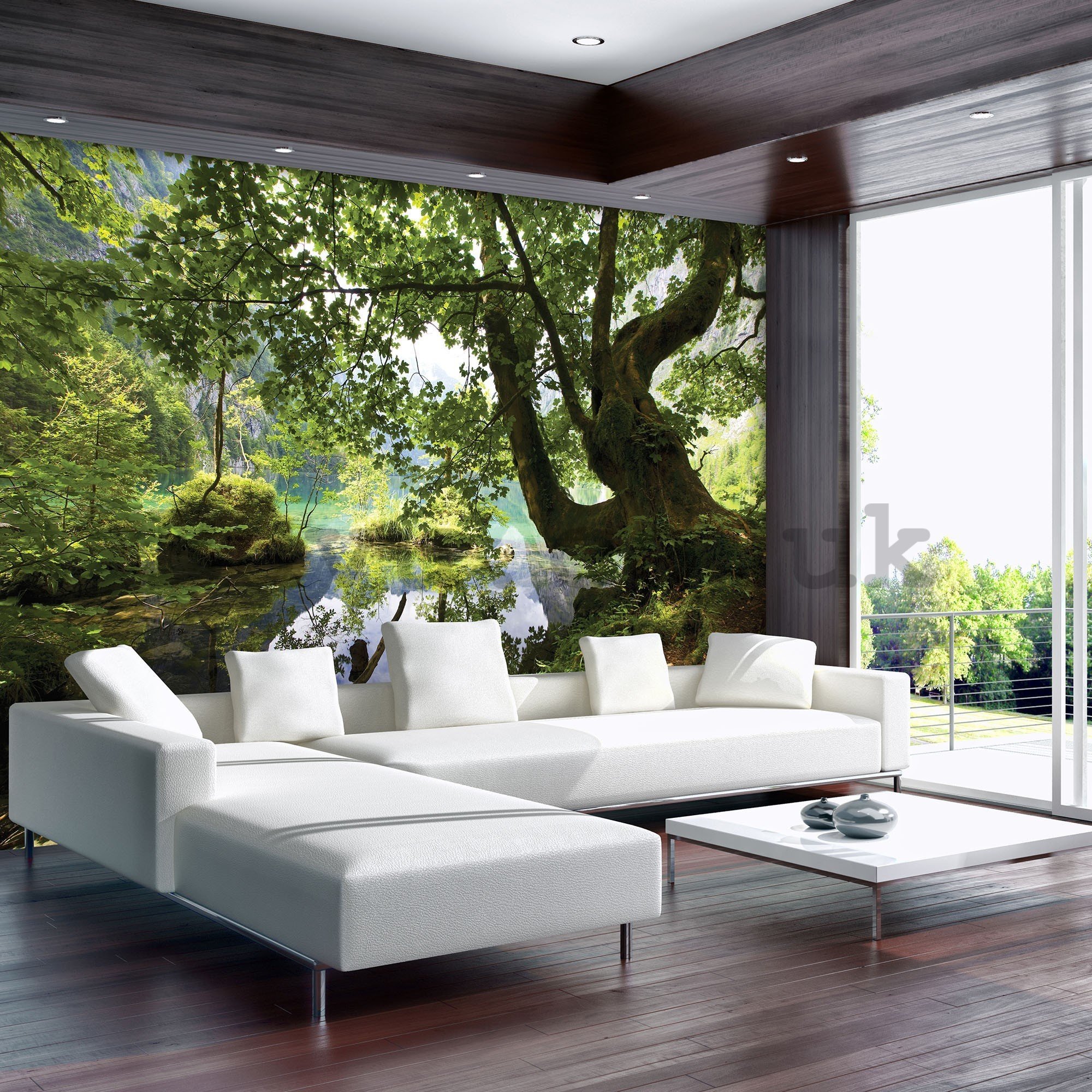 Wall mural vlies: Forest pool - 416x254 cm
