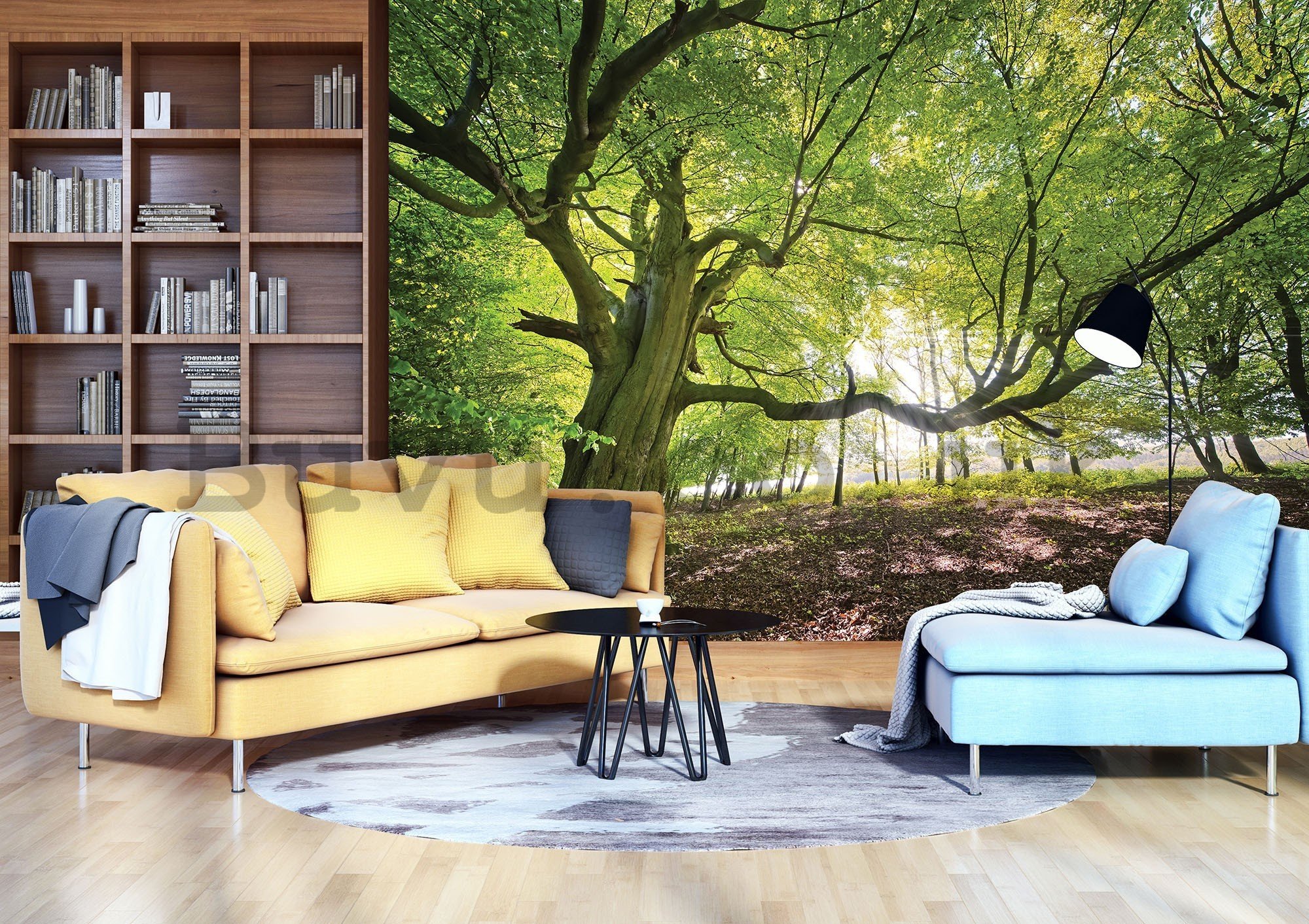 Wall mural vlies: Sun in the Forest (5) - 416x254 cm